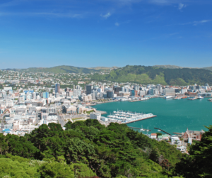 Cross lease property versus freehold property