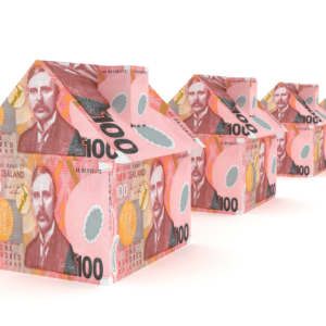 New Zealand $100 bills as a house