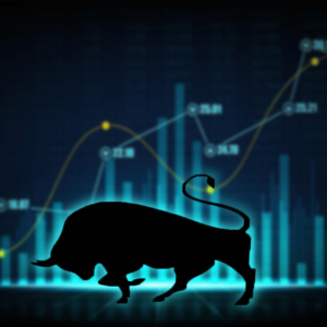 Bull market