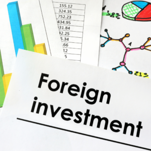 Foreign investment for national party