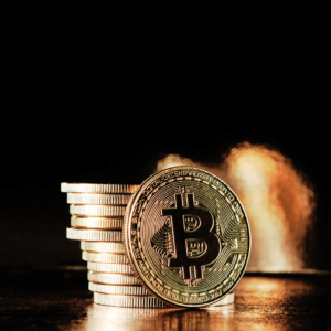 Bitcoin December Newsletter with Daniel Carney