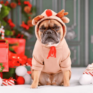 Christmas is a time for limiting the spend and being wise
