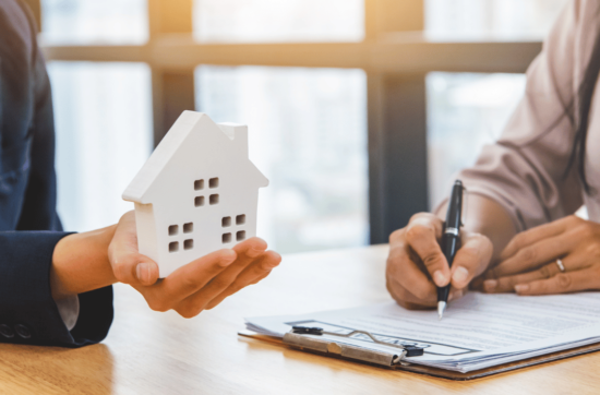 Auckland property market update for 2023
